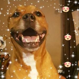 Meet your Posher, Tina